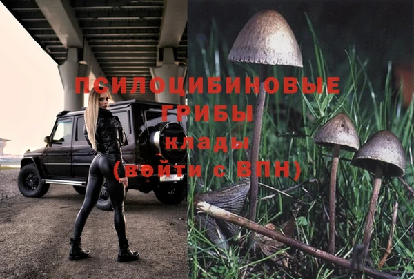 2c-b Абдулино