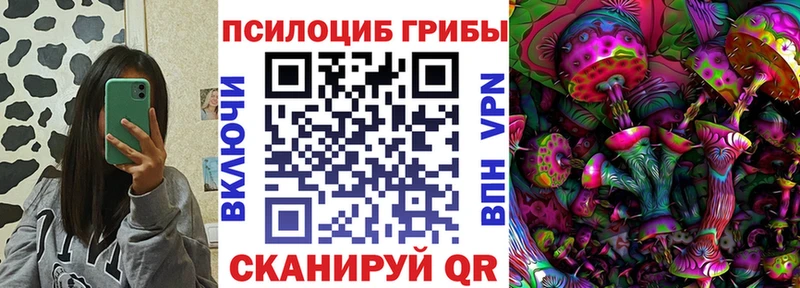 Псилоцибиновые грибы GOLDEN TEACHER дарнет шоп Киров