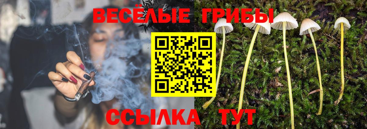 Киров  Галлюциногенные грибы GOLDEN TEACHER  Вход с VPN 
